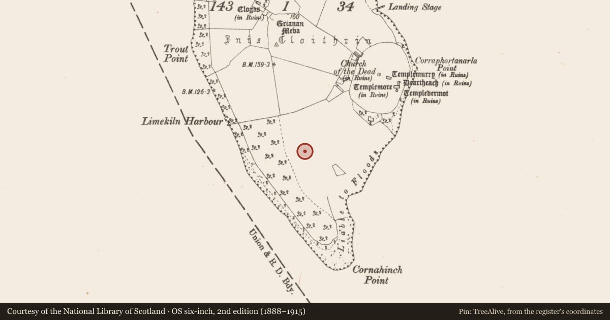 Ordnance Survey six-inch map, 2nd edition (1888–1915) covering the location of Ritual site - holy well, Inchcleraun, County Longford, with a pin at the register's coordinates