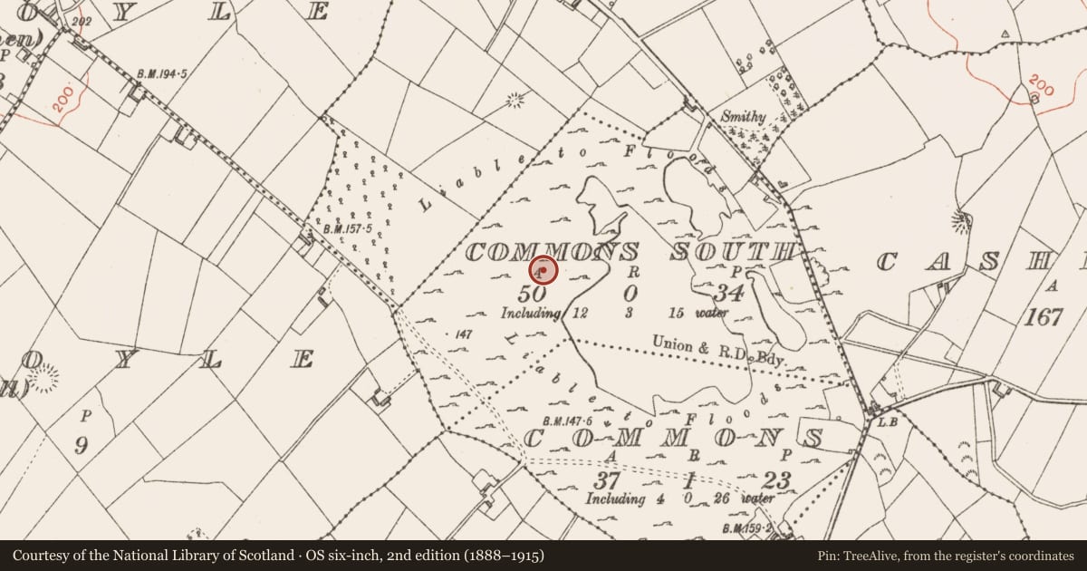 Ordnance Survey six-inch map, 2nd edition (1888–1915) covering the location of Platform, Commons South, County Longford, with a pin at the register's coordinates