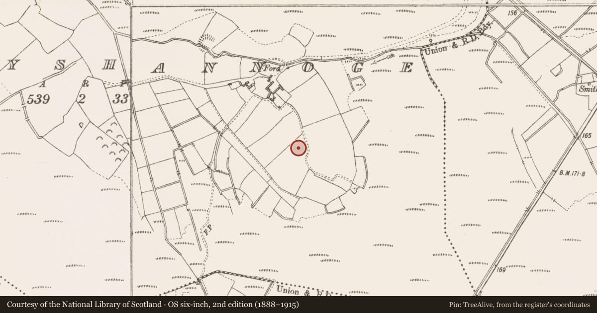 Ordnance Survey six-inch map, 2nd edition (1888–1915) covering the location of Ringfort - rath, Derryshannoge, County Longford, with a pin at the register's coordinates