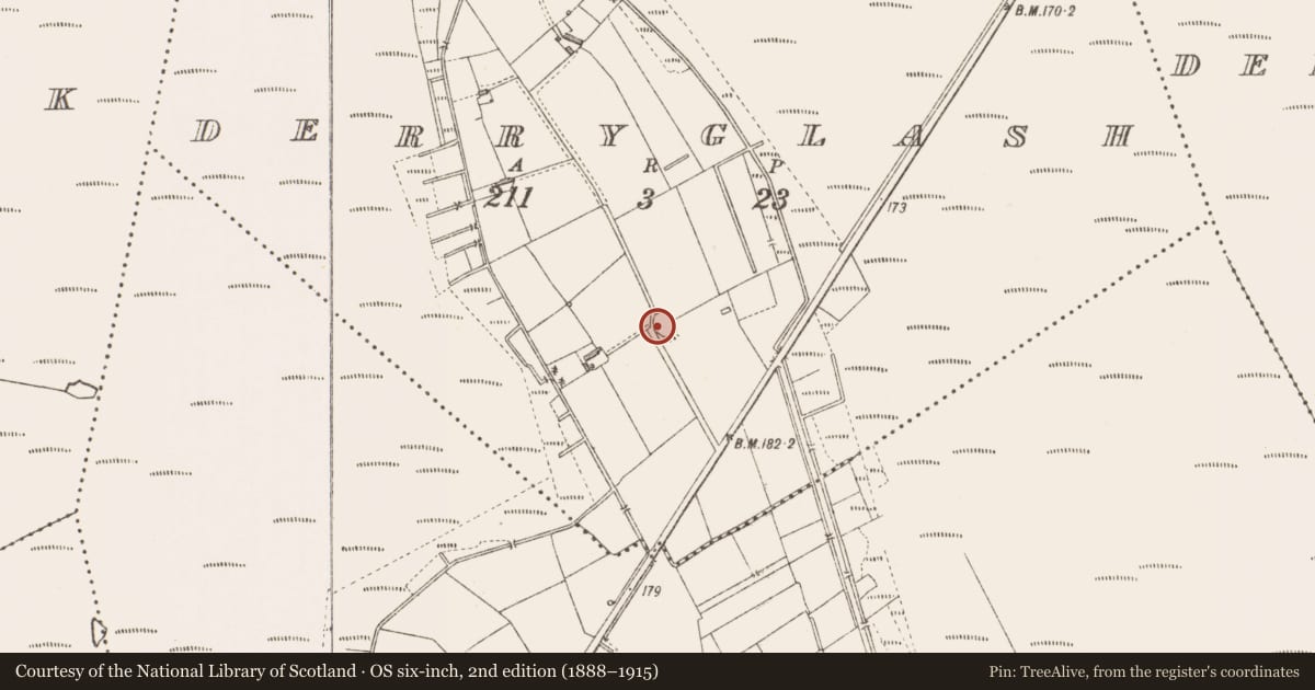 Ordnance Survey six-inch map, 2nd edition (1888–1915) covering the location of Ringfort - rath, Derryglash, County Longford, with a pin at the register's coordinates