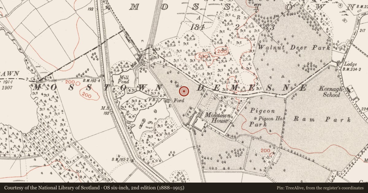Ordnance Survey six-inch map, 2nd edition (1888–1915) covering the location of Standing stone, Mosstown, County Longford, with a pin at the register's coordinates