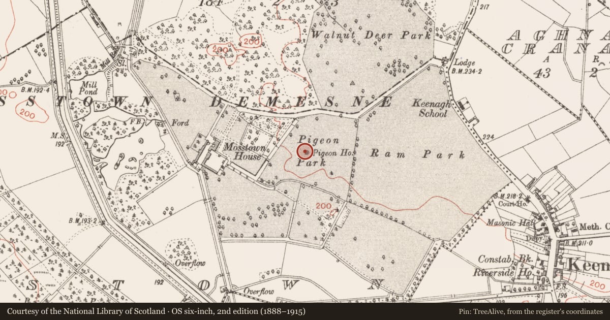 Ordnance Survey six-inch map, 2nd edition (1888–1915) covering the location of Dovecote, Mosstown, County Longford, with a pin at the register's coordinates