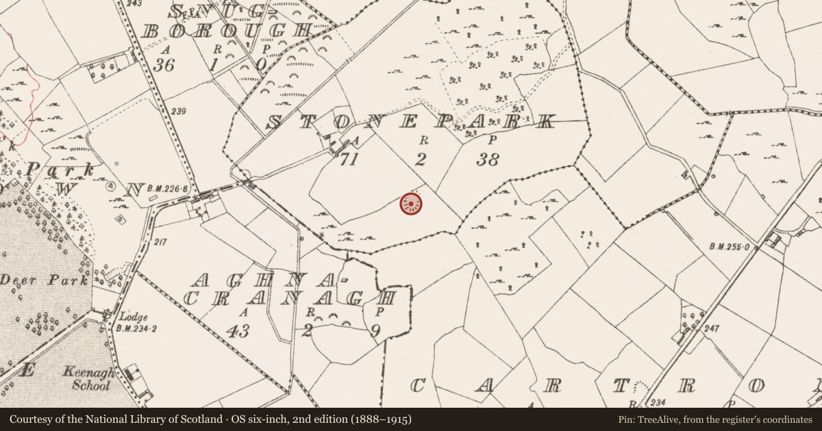 Ordnance Survey six-inch map, 2nd edition (1888–1915) covering the location of Ringfort - rath, Stonepark, County Longford, with a pin at the register's coordinates