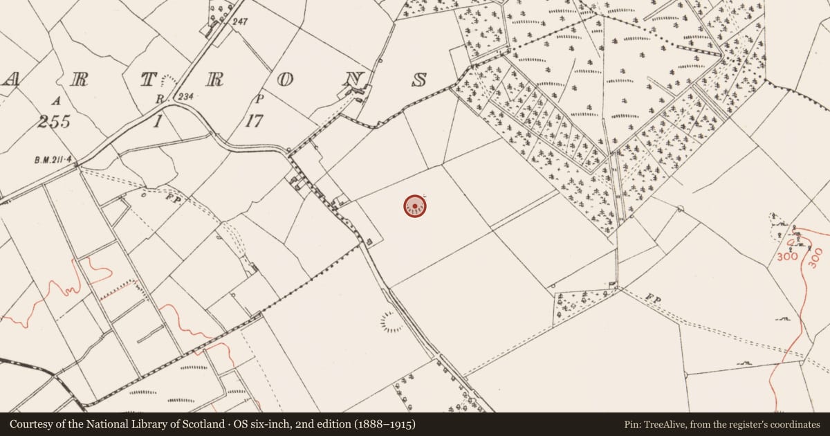 Ordnance Survey six-inch map, 2nd edition (1888–1915) covering the location of Ringfort - rath, Glenmore, County Longford, with a pin at the register's coordinates