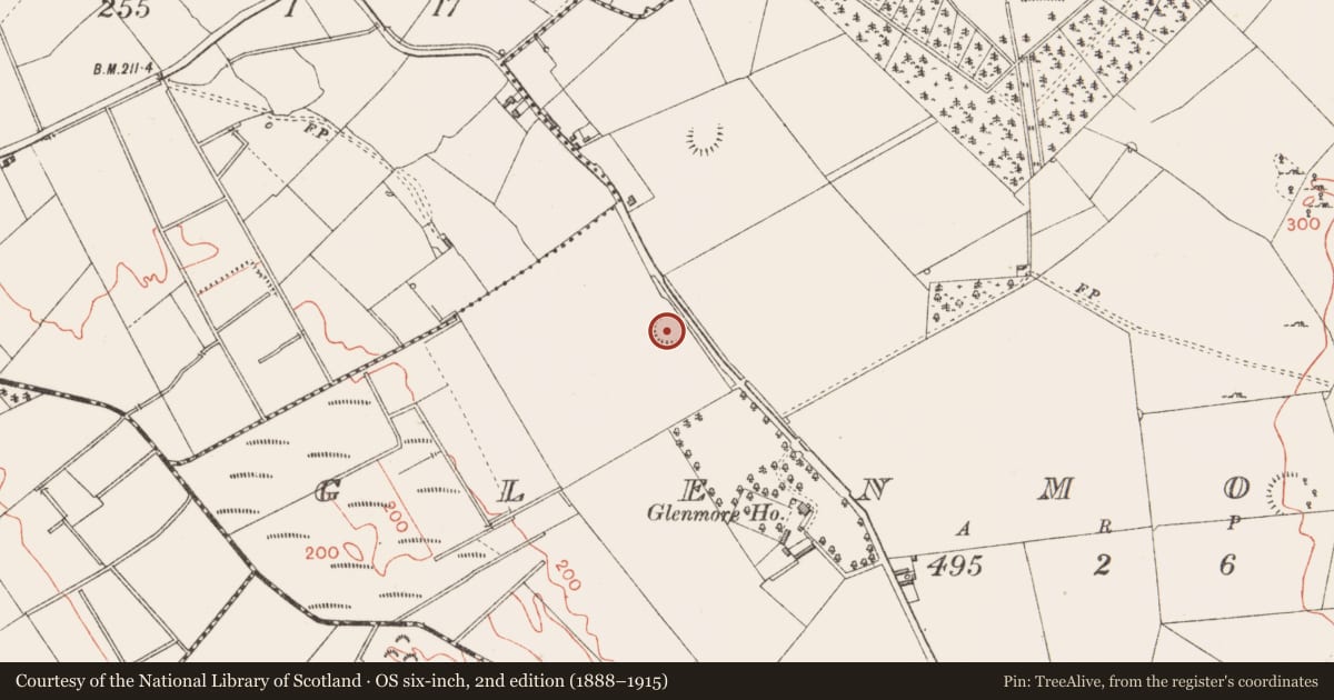Ordnance Survey six-inch map, 2nd edition (1888–1915) covering the location of Ringfort - rath, Glenmore, County Longford, with a pin at the register's coordinates
