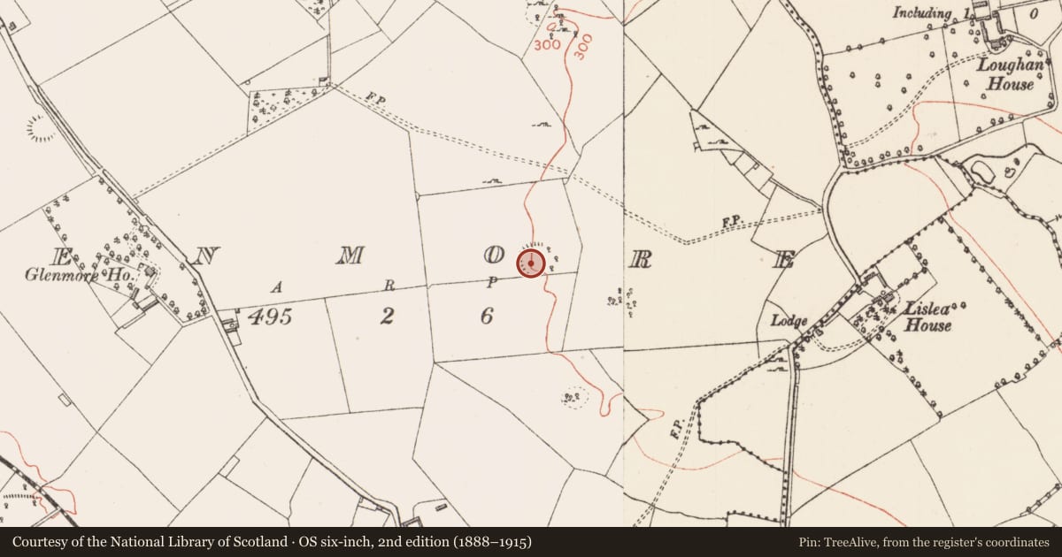 Ordnance Survey six-inch map, 2nd edition (1888–1915) covering the location of Ringfort - rath, Glenmore, County Longford, with a pin at the register's coordinates