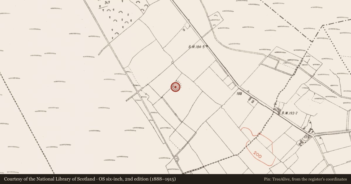 Ordnance Survey six-inch map, 2nd edition (1888–1915) covering the location of Ringfort - rath, Derraghan More, County Longford, with a pin at the register's coordinates