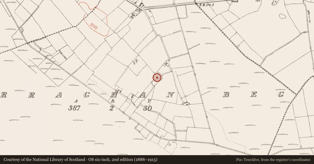 Ordnance Survey six-inch map, 2nd edition (1888–1915) covering the location of Ringfort - rath, Derraghan Beg, County Longford, with a pin at the register's coordinates