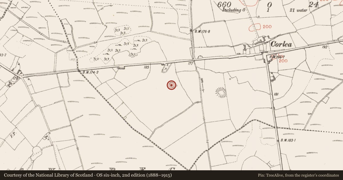 Ordnance Survey six-inch map, 2nd edition (1888–1915) covering the location of Ringfort - rath, Corlea, County Longford, with a pin at the register's coordinates