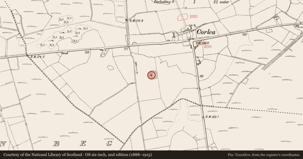 Ordnance Survey six-inch map, 2nd edition (1888–1915) covering the location of Ringfort - rath, Corlea, County Longford, with a pin at the register's coordinates