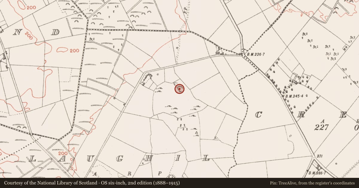 Ordnance Survey six-inch map, 2nd edition (1888–1915) covering the location of Ringfort - rath, Laughil, County Longford, with a pin at the register's coordinates