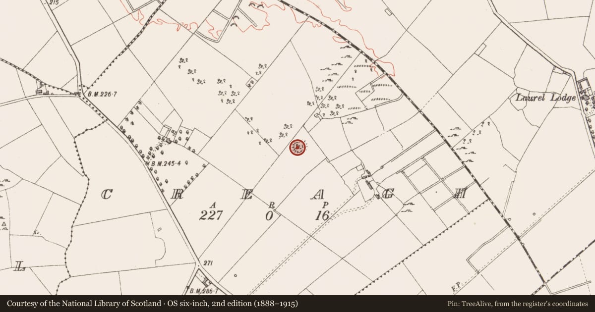 Ordnance Survey six-inch map, 2nd edition (1888–1915) covering the location of Ringfort - rath, Creagh, County Longford, with a pin at the register's coordinates