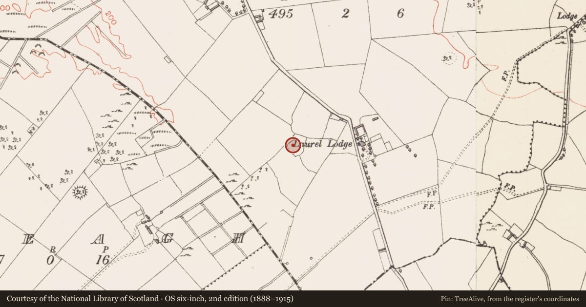 Ordnance Survey six-inch map, 2nd edition (1888–1915) covering the location of Ringfort - rath, Glenmore, County Longford, with a pin at the register's coordinates