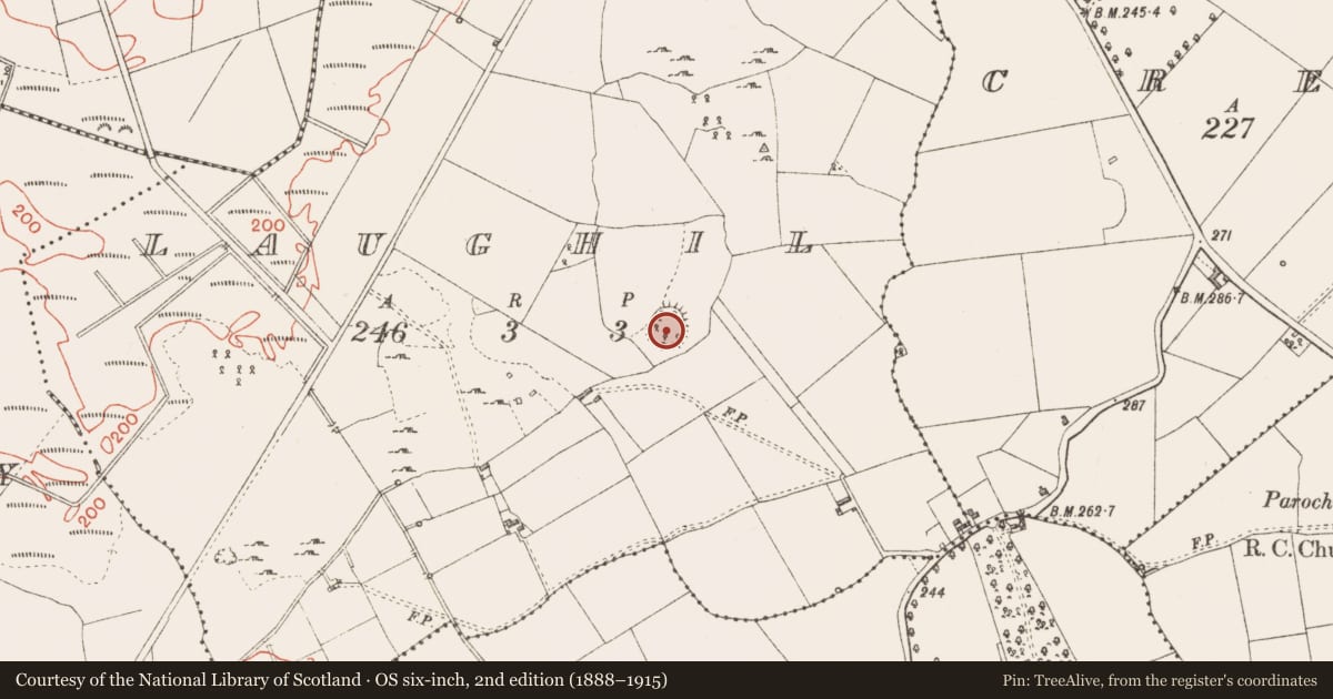 Ordnance Survey six-inch map, 2nd edition (1888–1915) covering the location of Ringfort - cashel, Laughil, County Longford, with a pin at the register's coordinates