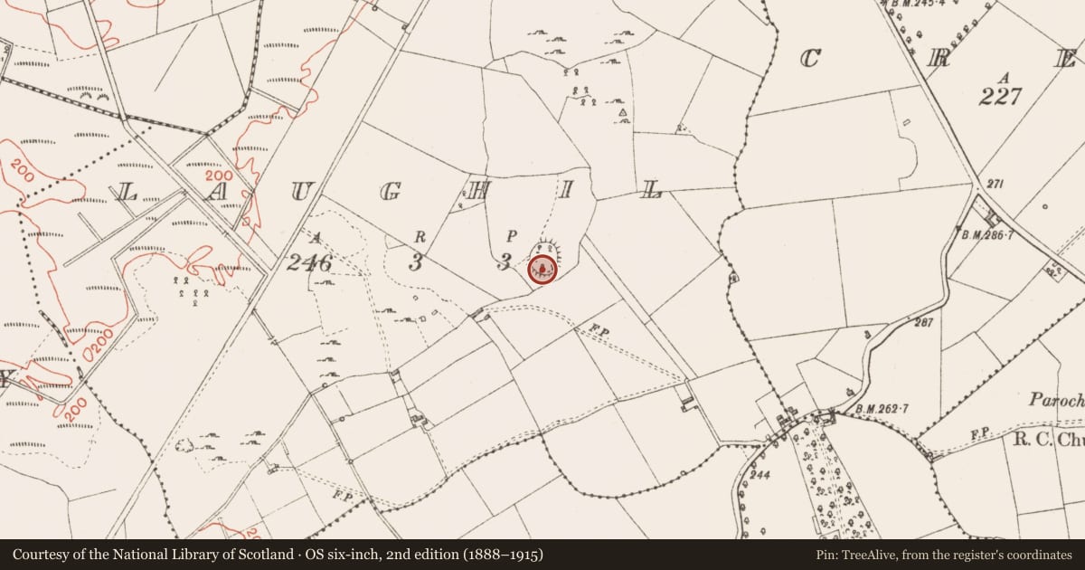 Ordnance Survey six-inch map, 2nd edition (1888–1915) covering the location of House - 18th/19th century, Laughil, County Longford, with a pin at the register's coordinates