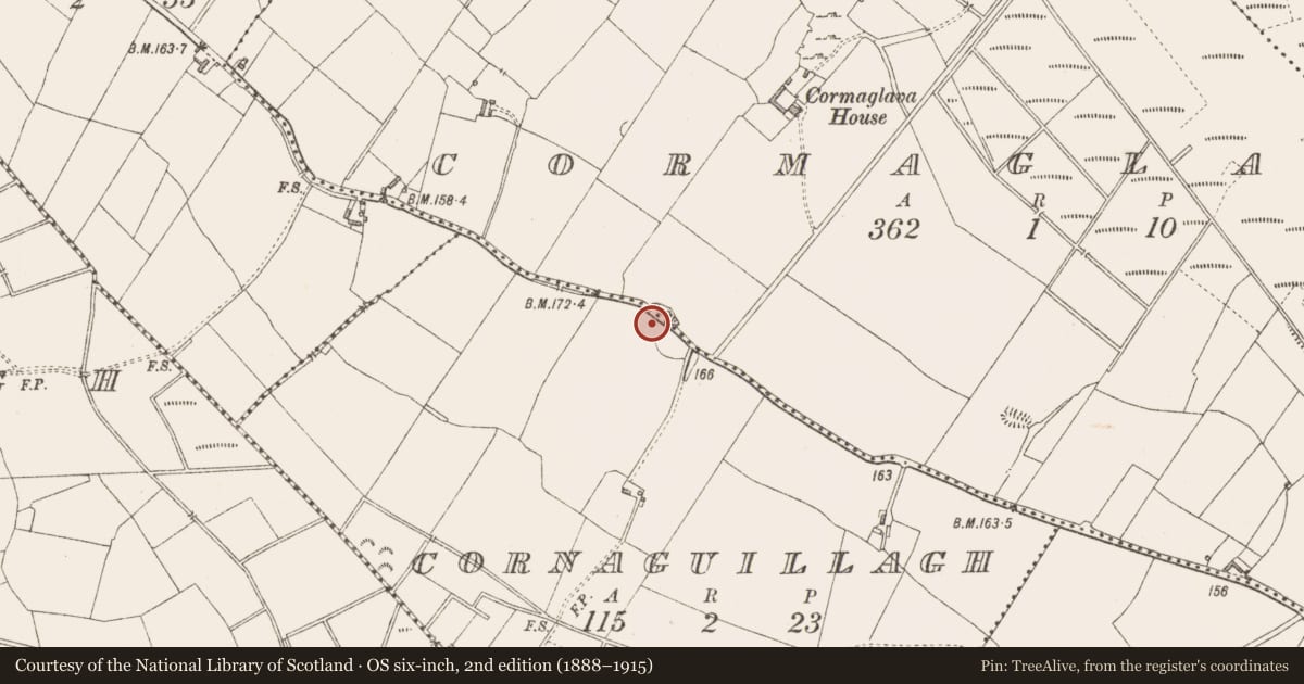 Ordnance Survey six-inch map, 2nd edition (1888–1915) covering the location of Ringfort - rath, Cormaglava, Cornaguillagh, County Longford, with a pin at the register's coordinates