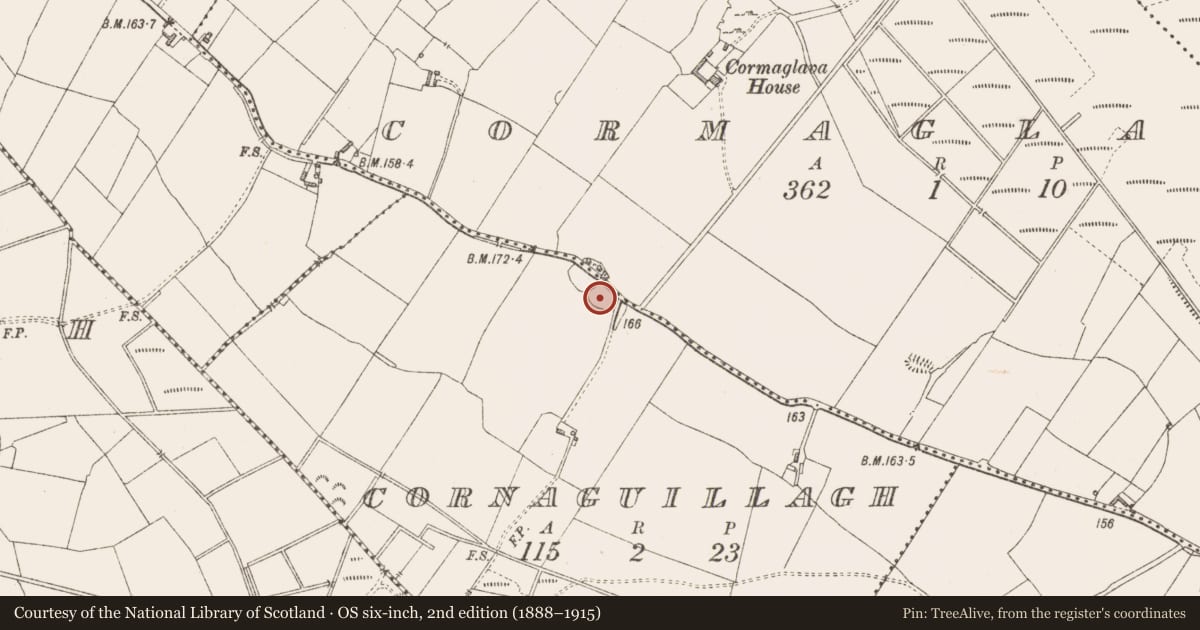 Ordnance Survey six-inch map, 2nd edition (1888–1915) covering the location of Enclosure, Cormaglava, Cornaguillagh, County Longford, with a pin at the register's coordinates