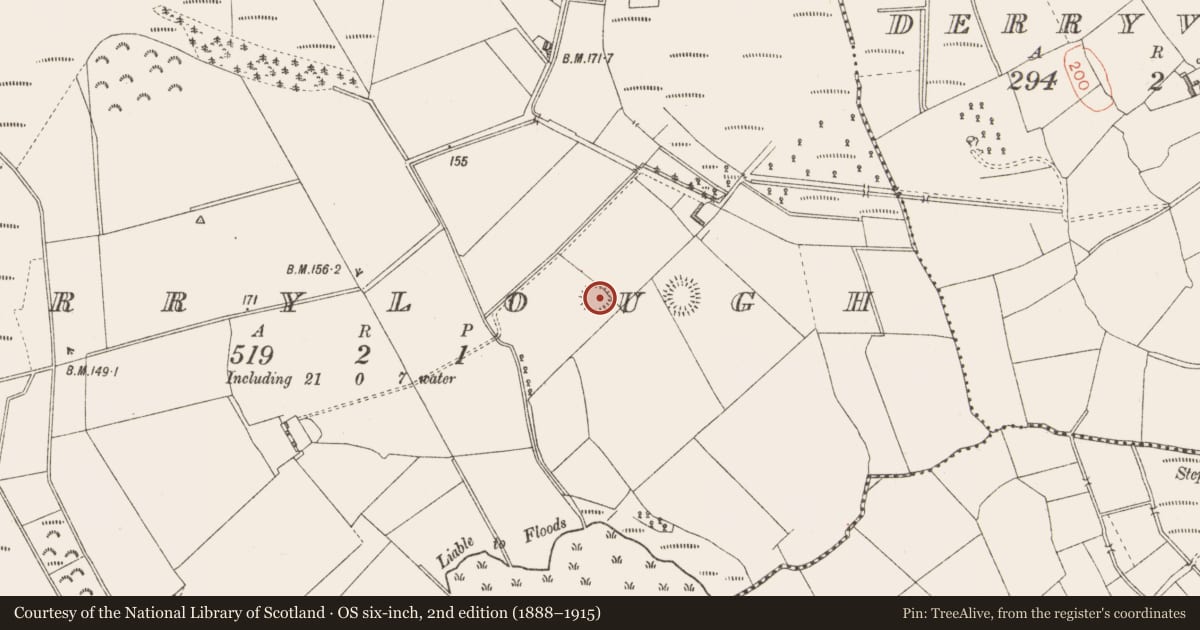 Ordnance Survey six-inch map, 2nd edition (1888–1915) covering the location of Ringfort - rath, Derrylough, County Longford, with a pin at the register's coordinates