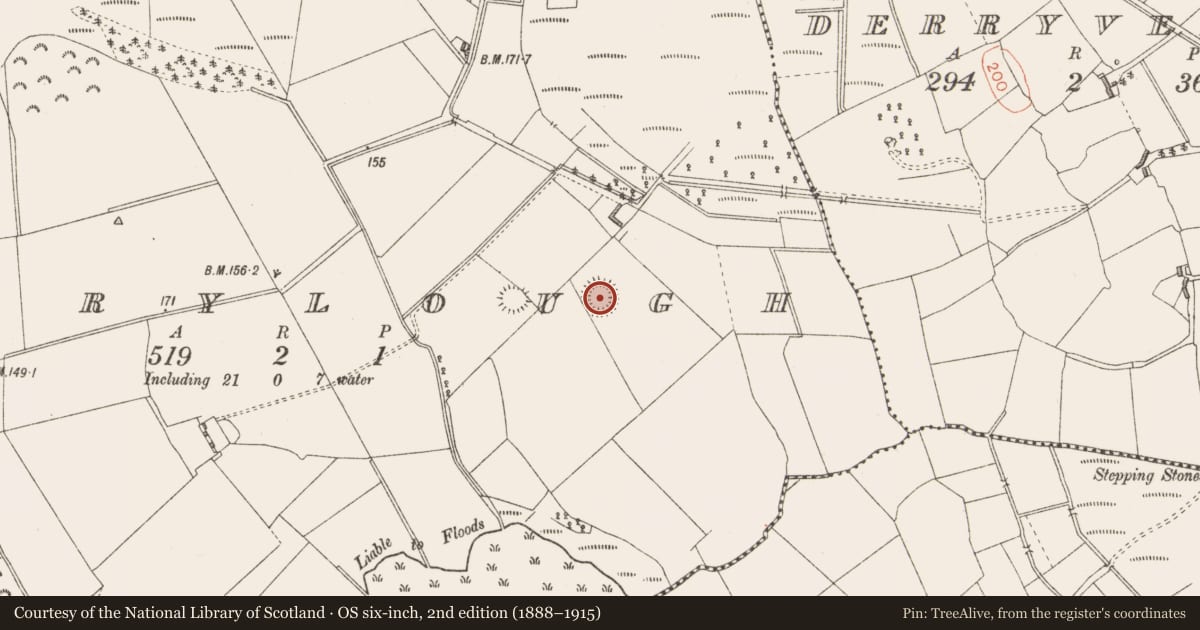 Ordnance Survey six-inch map, 2nd edition (1888–1915) covering the location of Ringfort - rath, Derrylough, County Longford, with a pin at the register's coordinates
