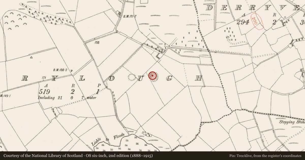 Ordnance Survey six-inch map, 2nd edition (1888–1915) covering the location of House - indeterminate date, Derrylough, County Longford, with a pin at the register's coordinates