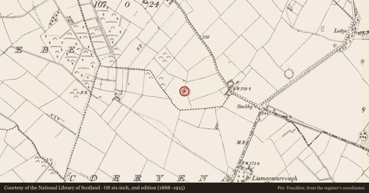 Ordnance Survey six-inch map, 2nd edition (1888–1915) covering the location of Ringfort - rath, Cartronawar, County Longford, with a pin at the register's coordinates