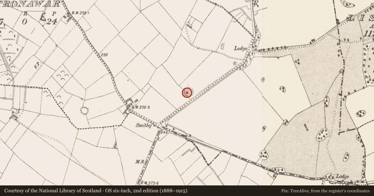 Ordnance Survey six-inch map, 2nd edition (1888–1915) covering the location of Ringfort - rath, Clogh, County Longford, with a pin at the register's coordinates