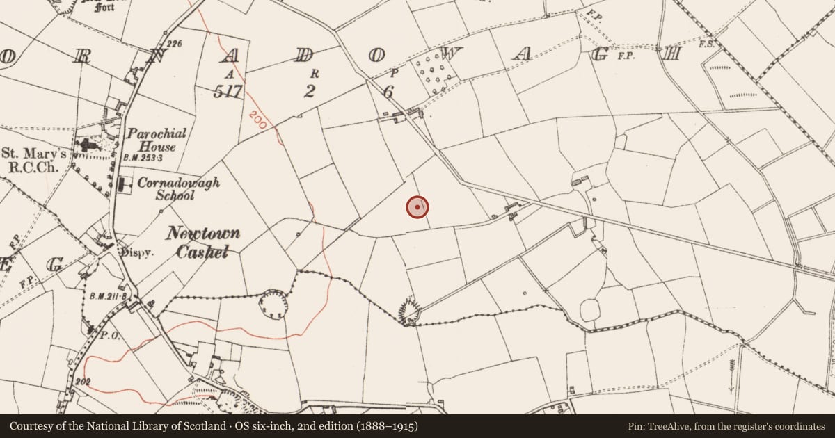 Ordnance Survey six-inch map, 2nd edition (1888–1915) covering the location of Ringfort - rath, Cornadowagh, County Longford, with a pin at the register's coordinates