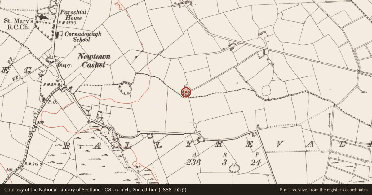 Ordnance Survey six-inch map, 2nd edition (1888–1915) covering the location of Ringfort - rath, Cornadowagh, County Longford, with a pin at the register's coordinates