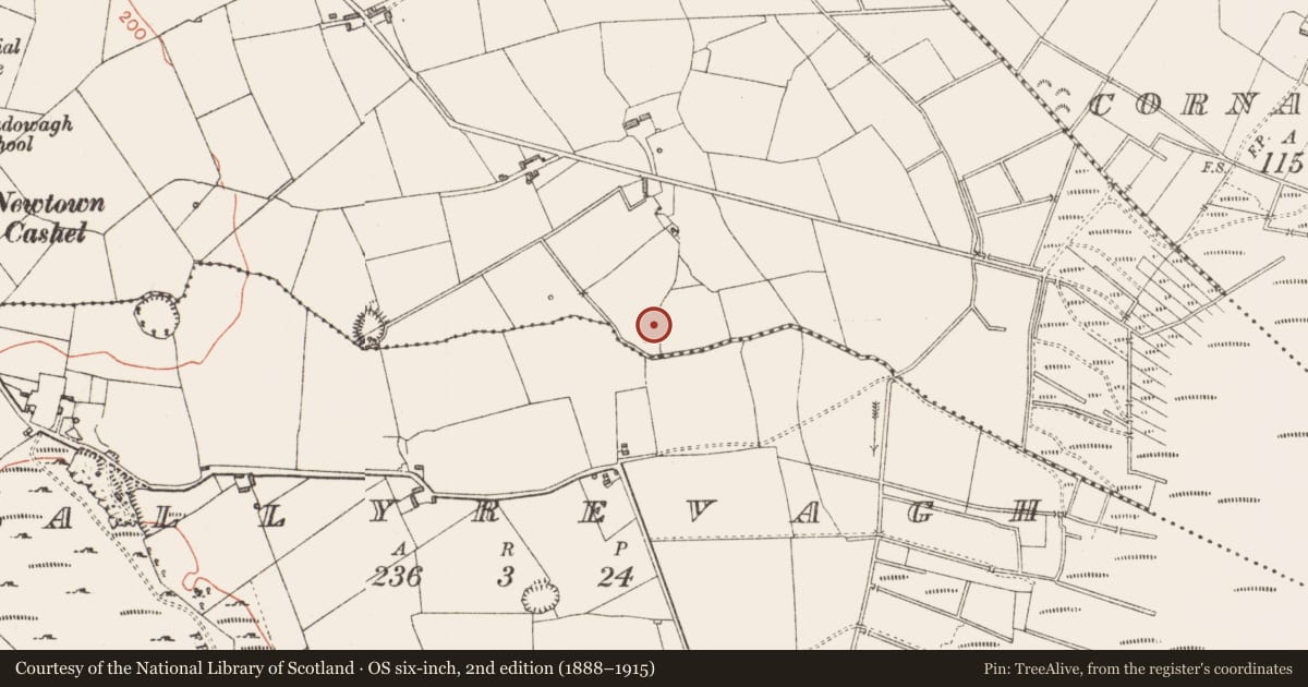Ordnance Survey six-inch map, 2nd edition (1888–1915) covering the location of Ringfort - cashel, Cornadowagh, County Longford, with a pin at the register's coordinates