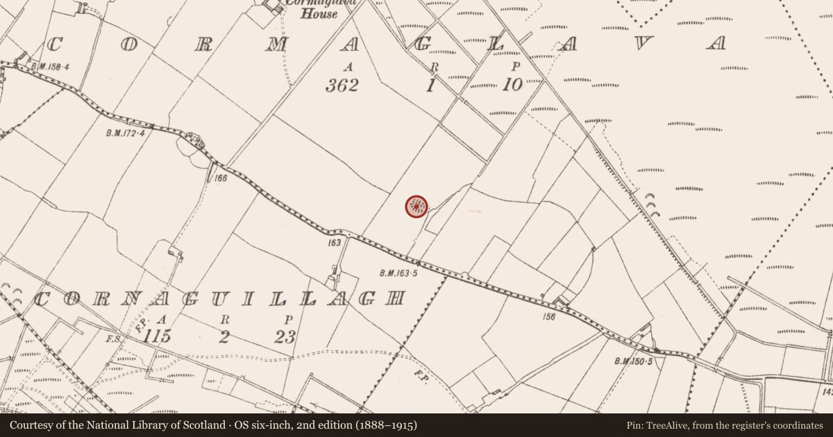 Ordnance Survey six-inch map, 2nd edition (1888–1915) covering the location of Ringfort - rath, Cormaglava, County Longford, with a pin at the register's coordinates