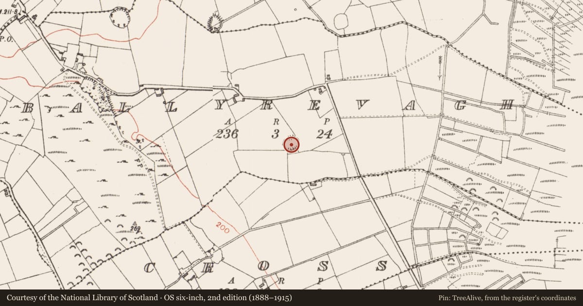 Ordnance Survey six-inch map, 2nd edition (1888–1915) covering the location of Ringfort - rath, Ballyrevagh, County Longford, with a pin at the register's coordinates