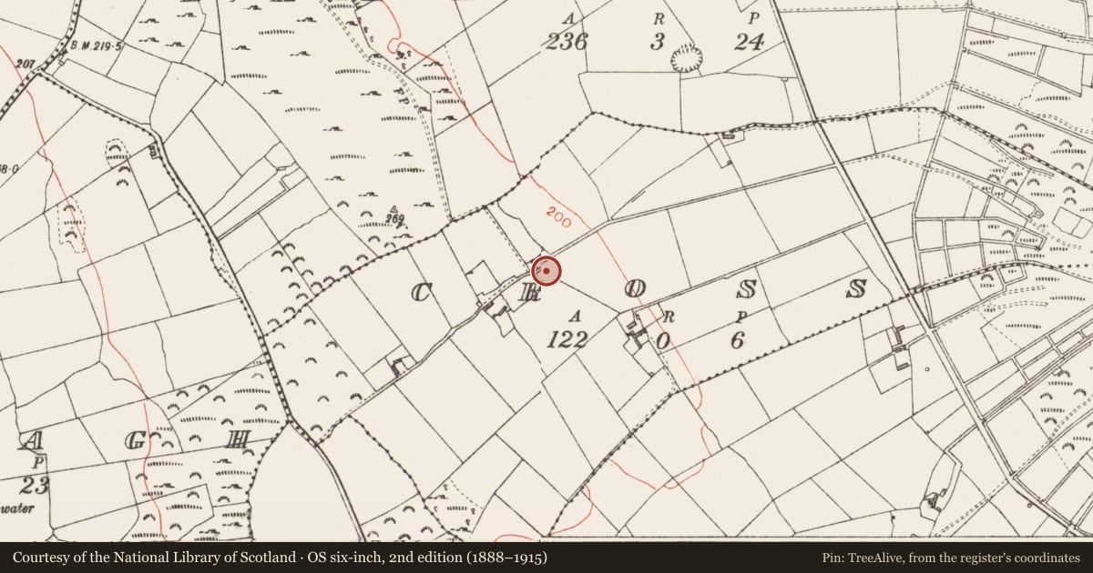Ordnance Survey six-inch map, 2nd edition (1888–1915) covering the location of Ringfort - rath, Cross, County Longford, with a pin at the register's coordinates