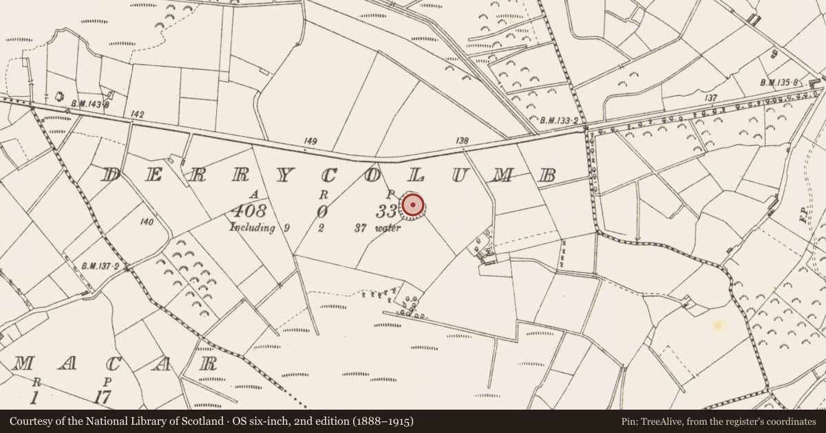Ordnance Survey six-inch map, 2nd edition (1888–1915) covering the location of Ringfort - rath, Derrycolumb, County Longford, with a pin at the register's coordinates