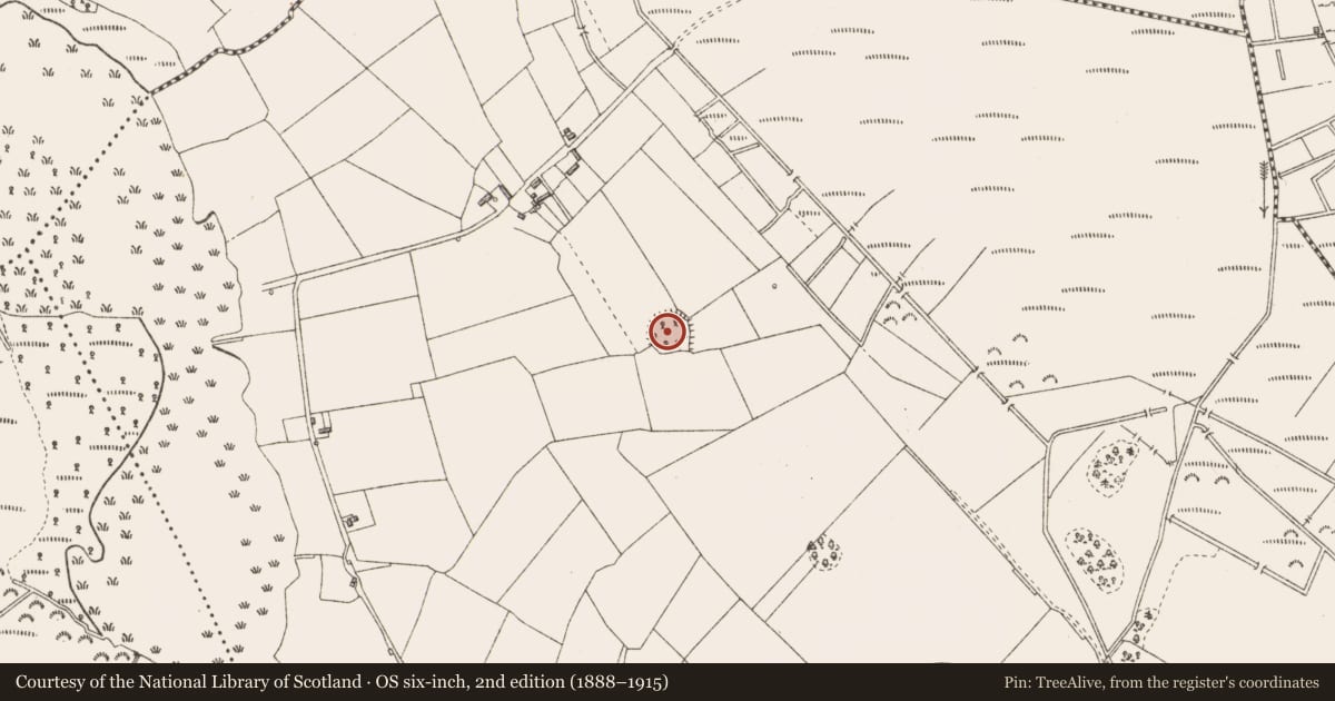 Ordnance Survey six-inch map, 2nd edition (1888–1915) covering the location of Ringfort - rath, Ledwithstown, County Longford, with a pin at the register's coordinates