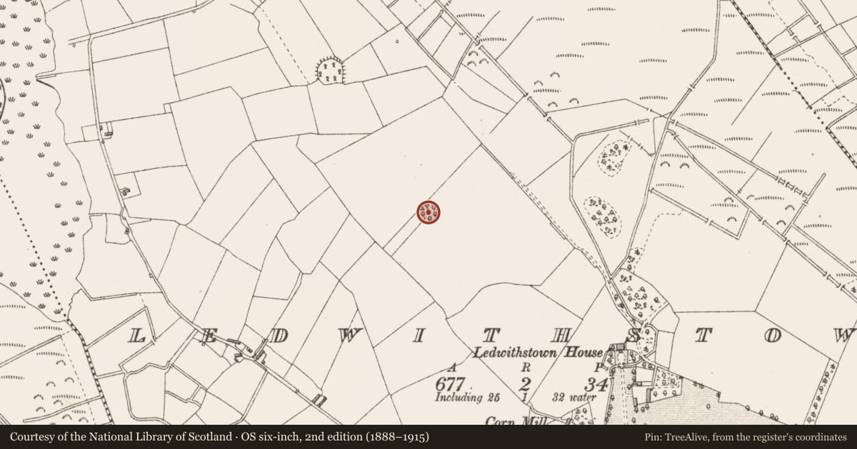 Ordnance Survey six-inch map, 2nd edition (1888–1915) covering the location of Ringfort - rath, Ledwithstown, County Longford, with a pin at the register's coordinates