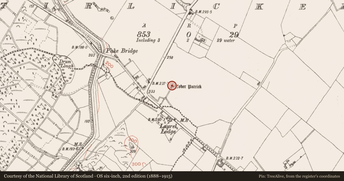 Ordnance Survey six-inch map, 2nd edition (1888–1915) covering the location of Ritual site - holy well, Tirlickeen, County Longford, with a pin at the register's coordinates
