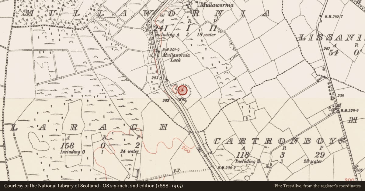 Ordnance Survey six-inch map, 2nd edition (1888–1915) covering the location of Ringfort - rath, Mullawornia, County Longford, with a pin at the register's coordinates