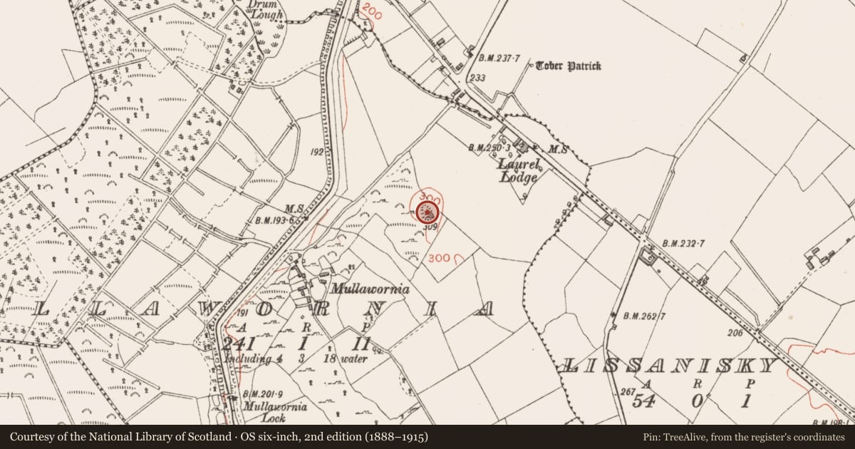 Ordnance Survey six-inch map, 2nd edition (1888–1915) covering the location of Enclosure, Mullawornia, County Longford, with a pin at the register's coordinates