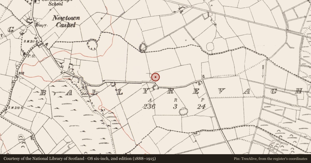 Ordnance Survey six-inch map, 2nd edition (1888–1915) covering the location of Ringfort - rath, Ballyrevagh, County Longford, with a pin at the register's coordinates