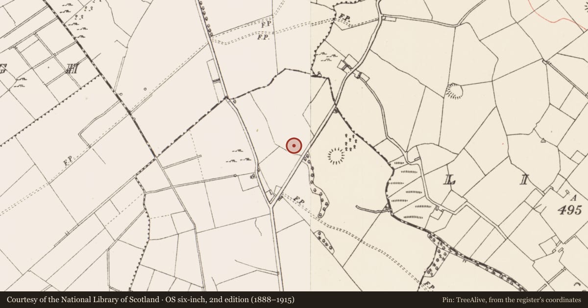Ordnance Survey six-inch map, 2nd edition (1888–1915) covering the location of Standing stone, Cartronbrack, County Longford, with a pin at the register's coordinates