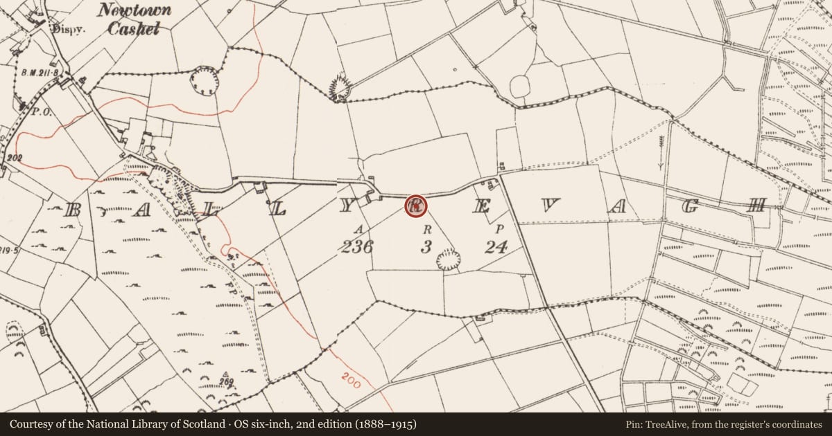 Ordnance Survey six-inch map, 2nd edition (1888–1915) covering the location of Enclosure, Ballyrevagh, County Longford, with a pin at the register's coordinates