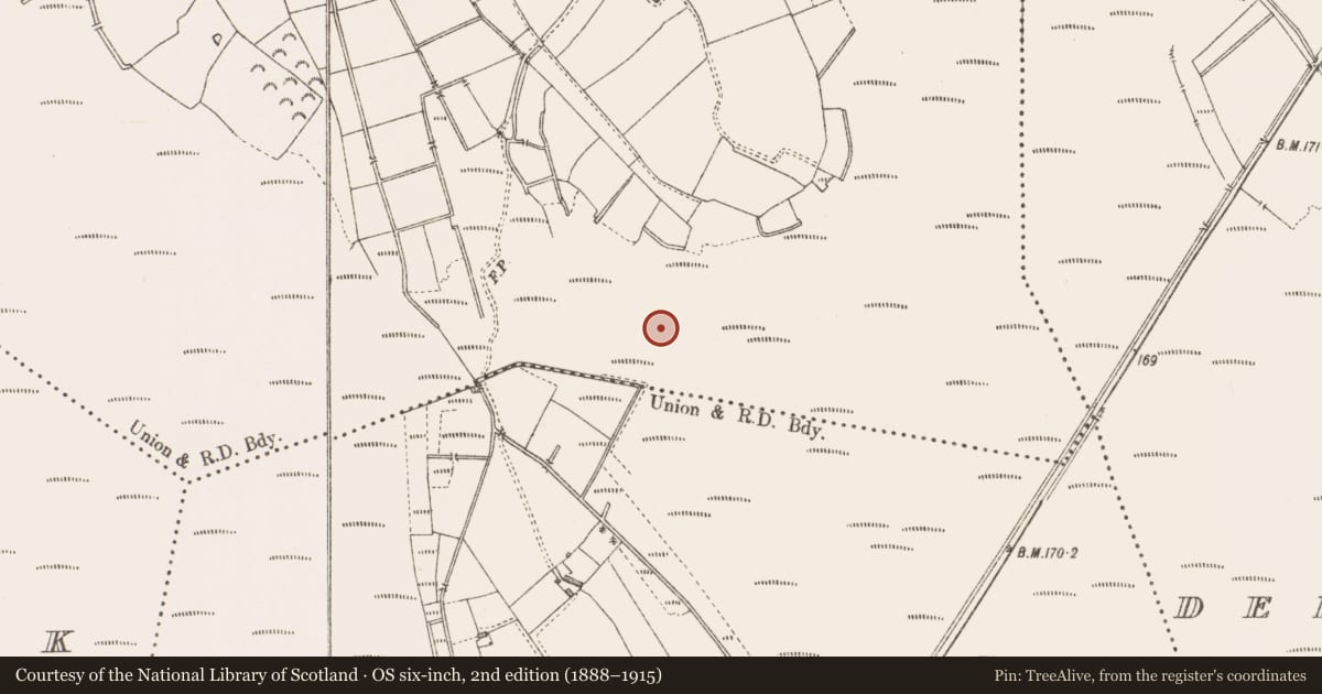 Ordnance Survey six-inch map, 2nd edition (1888–1915) covering the location of Road - class 3 togher, Derryshannoge, County Longford, with a pin at the register's coordinates
