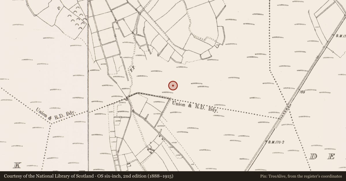Ordnance Survey six-inch map, 2nd edition (1888–1915) covering the location of Road - class 3 togher, Derryshannoge, County Longford, with a pin at the register's coordinates