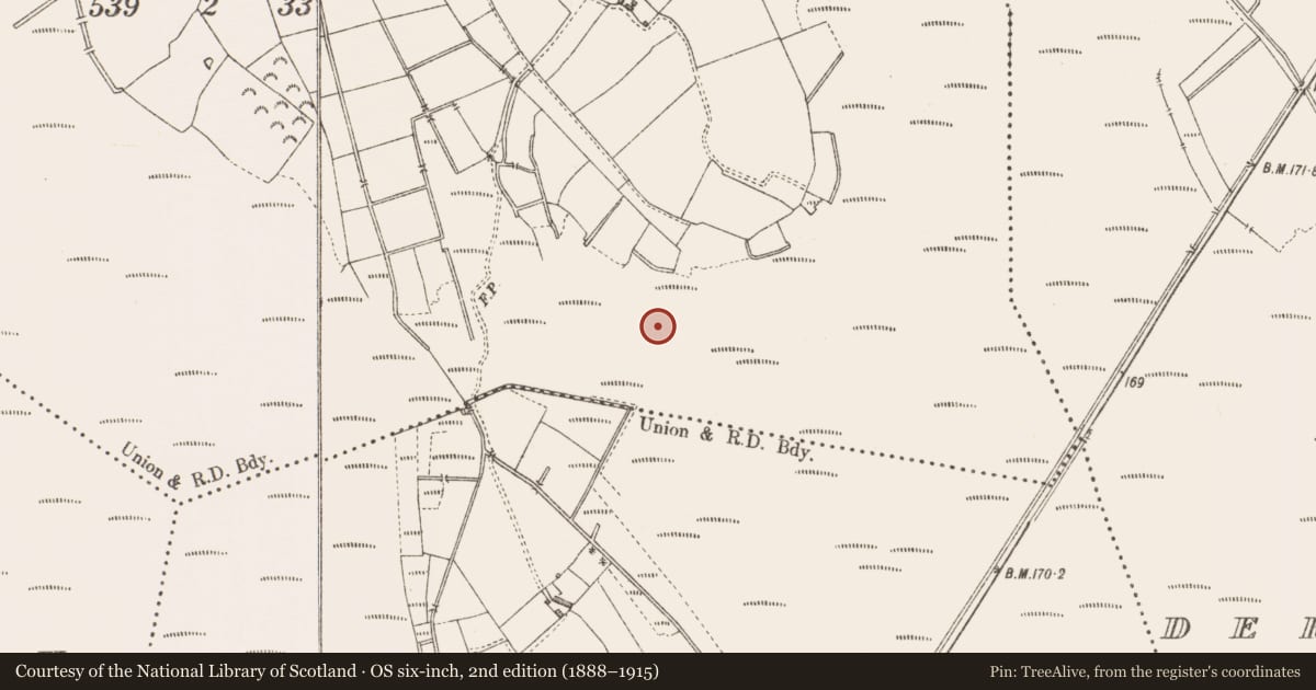 Ordnance Survey six-inch map, 2nd edition (1888–1915) covering the location of Structure - peatland, Derryshannoge, County Longford, with a pin at the register's coordinates