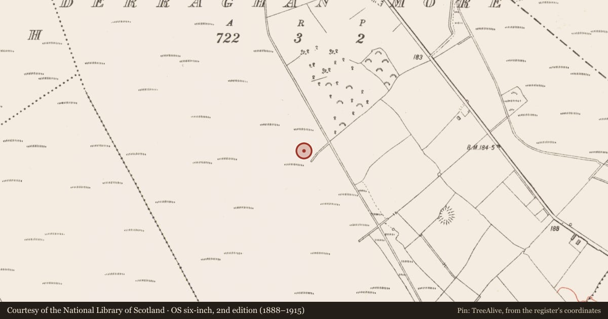 Ordnance Survey six-inch map, 2nd edition (1888–1915) covering the location of Road - class 3 togher, Derraghan More, County Longford, with a pin at the register's coordinates