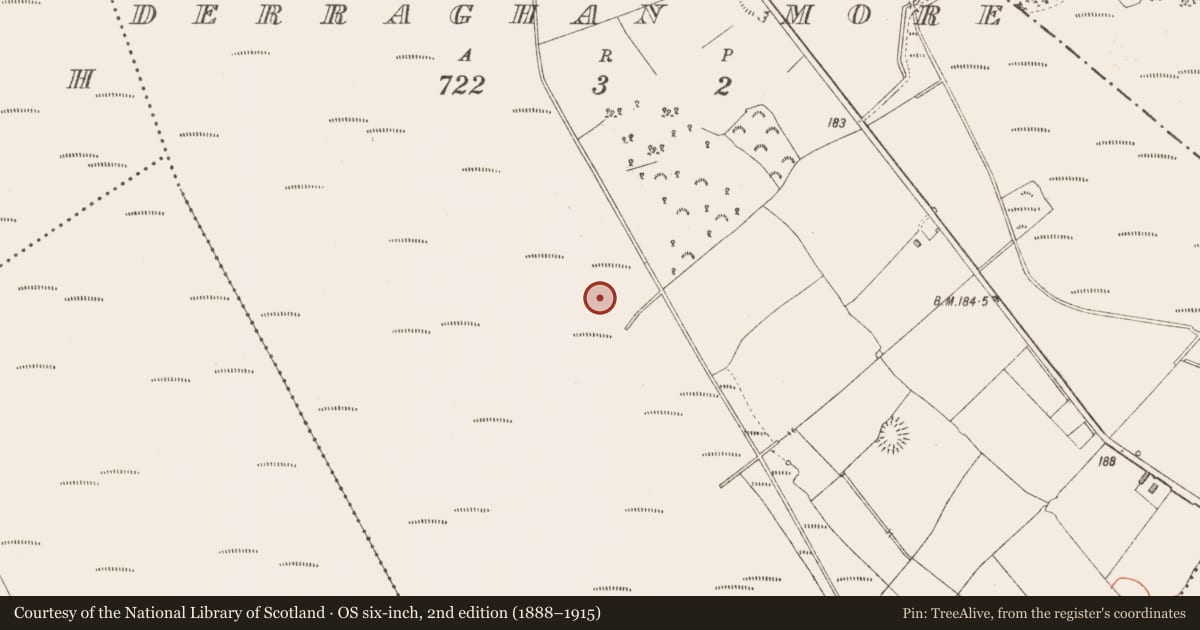 Ordnance Survey six-inch map, 2nd edition (1888–1915) covering the location of Road - class 3 togher, Derraghan More, County Longford, with a pin at the register's coordinates