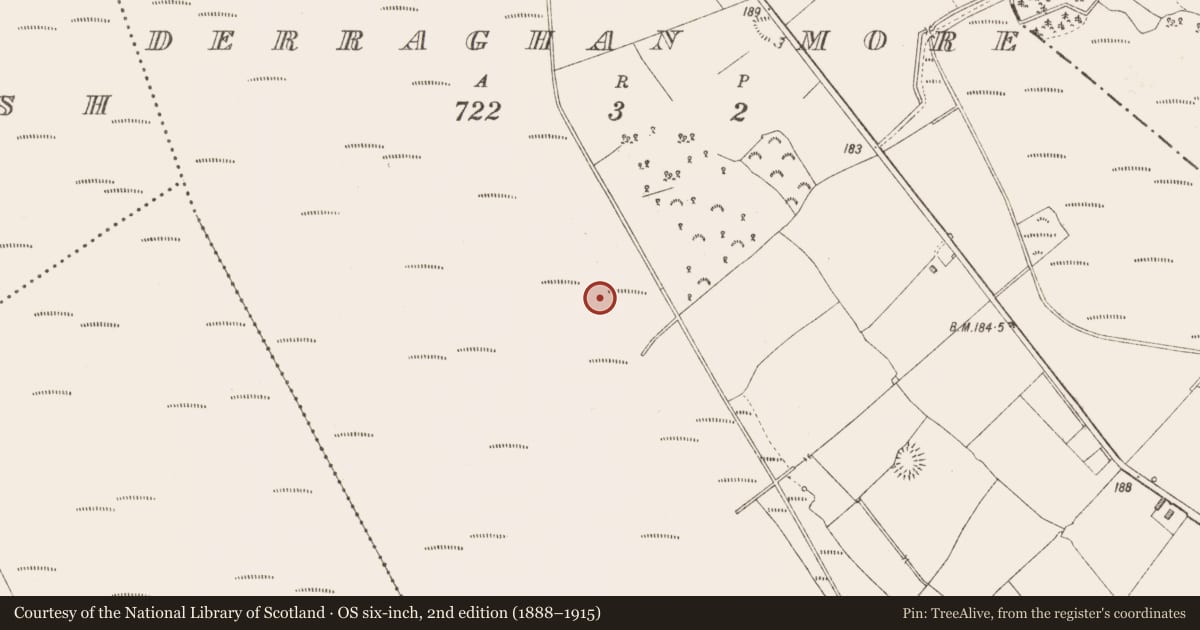 Ordnance Survey six-inch map, 2nd edition (1888–1915) covering the location of Road - class 3 togher, Derraghan More, County Longford, with a pin at the register's coordinates