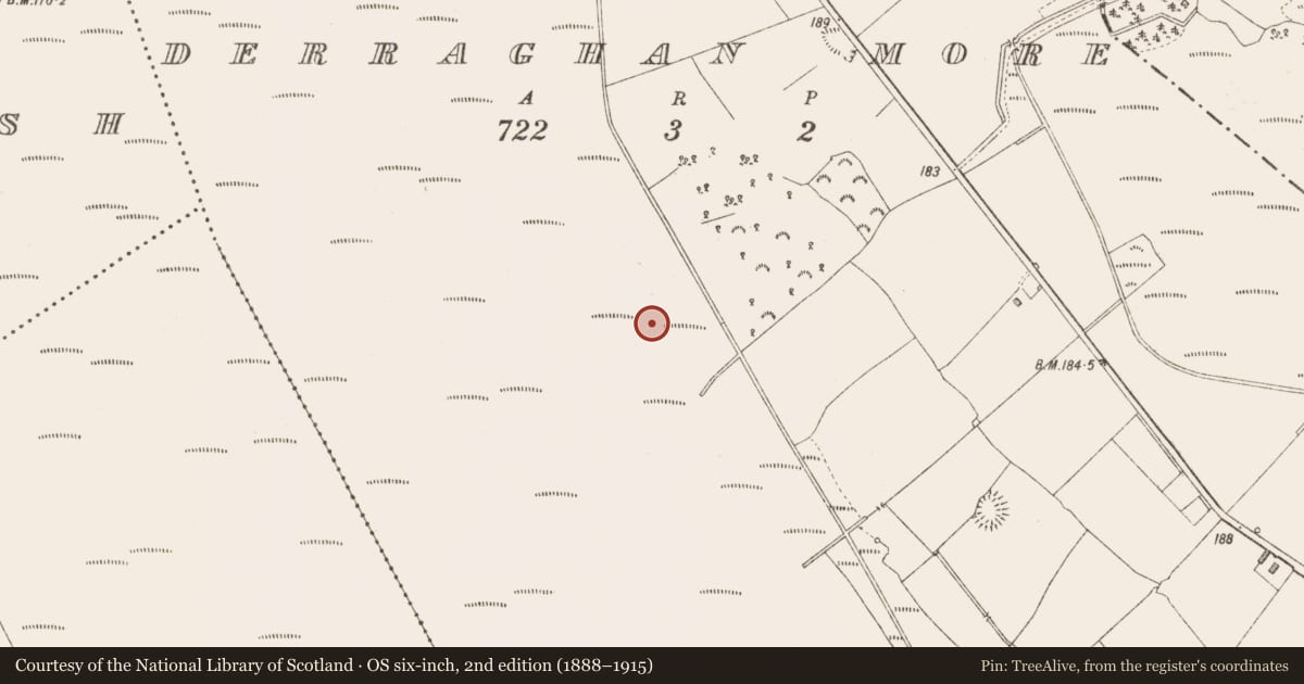 Ordnance Survey six-inch map, 2nd edition (1888–1915) covering the location of Road - class 3 togher, Derraghan More, County Longford, with a pin at the register's coordinates