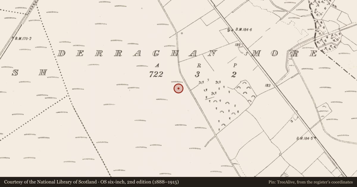 Ordnance Survey six-inch map, 2nd edition (1888–1915) covering the location of Road - class 3 togher, Derraghan More, County Longford, with a pin at the register's coordinates