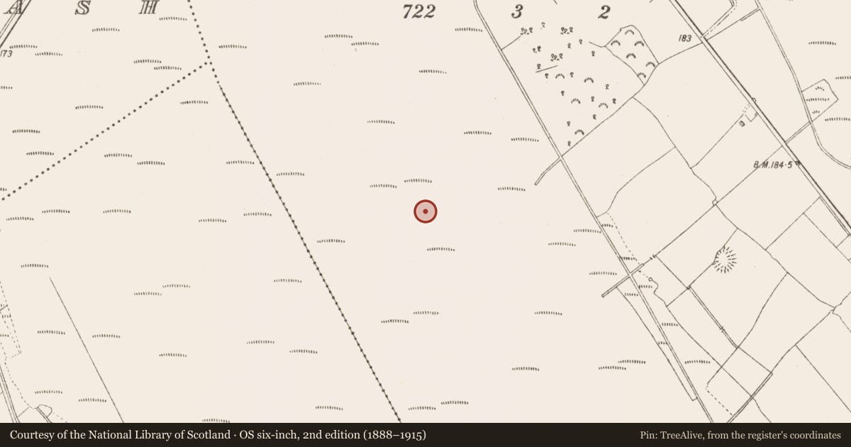 Ordnance Survey six-inch map, 2nd edition (1888–1915) covering the location of Road - class 3 togher, Derraghan More, County Longford, with a pin at the register's coordinates